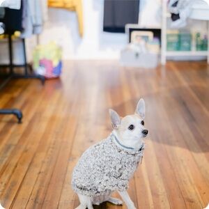 The Worthy Dog Quarter Zip Wubby Fleece Pullover